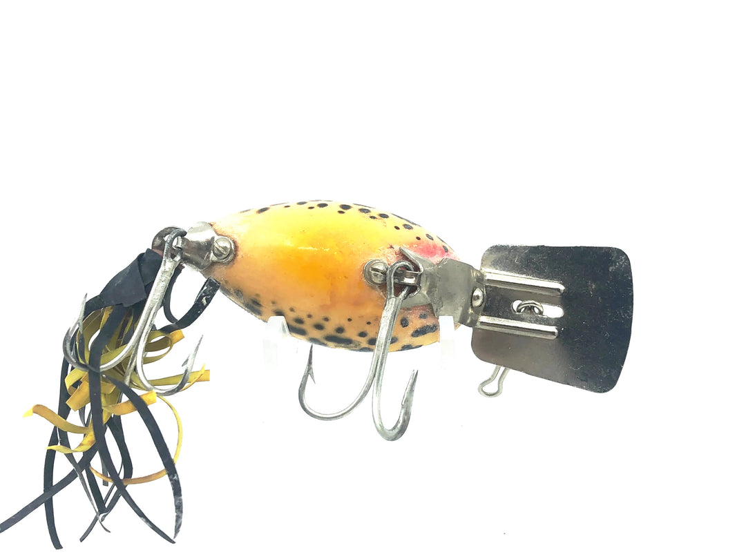 Arbogast Arbo-Gaster, Yellow Coachdog Color