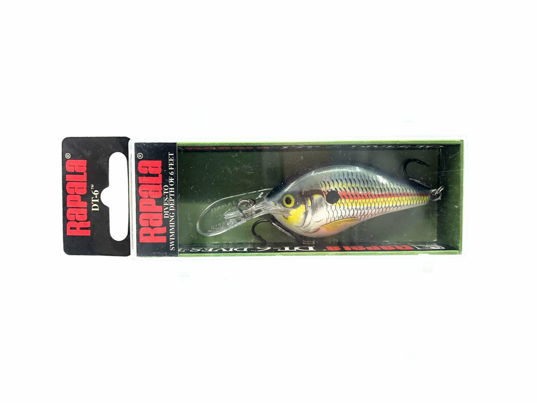 Rapala DT Dives-To 6, SD Shad Color w/Box