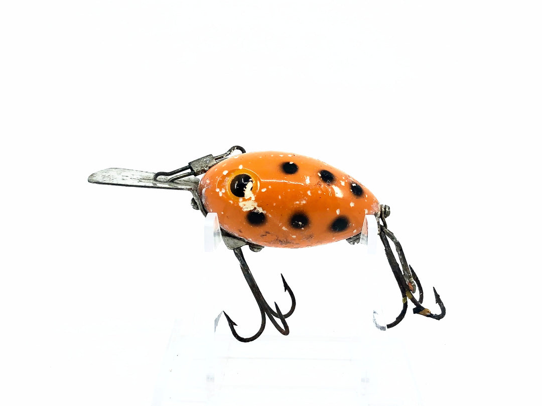 Arbogast Arbo-Gaster, Orange/Black Dots Color