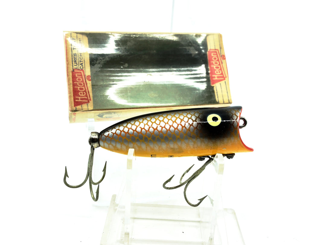 Heddon Baby Lucky 13 2400, PG Gold Shiner Color with Box