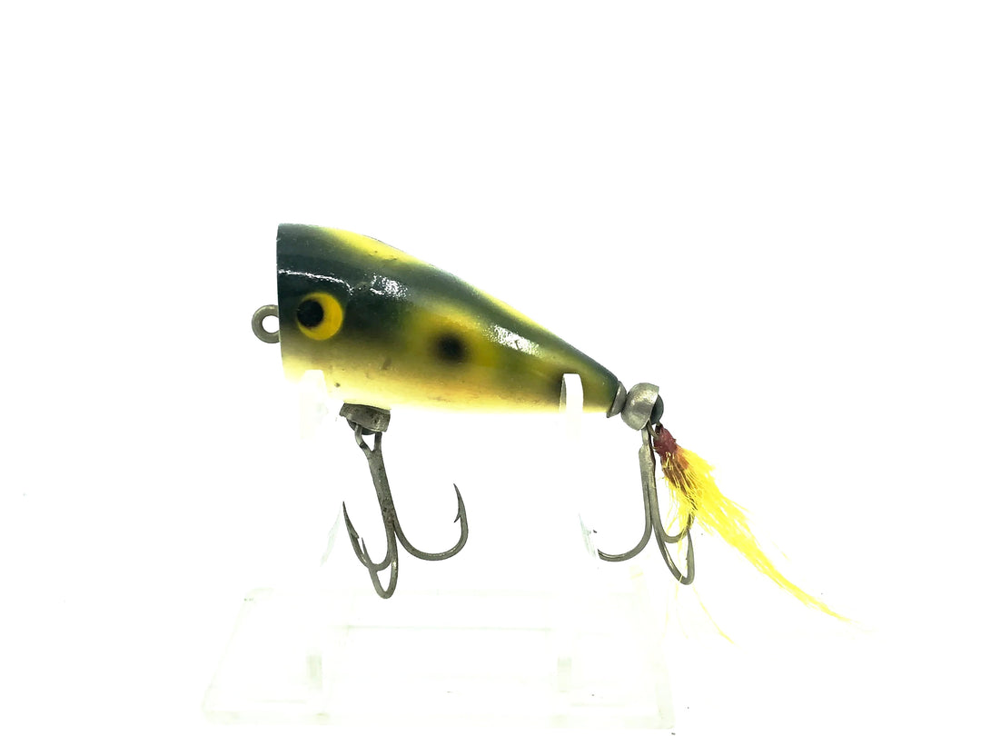 Unknown Popper, Frog Color