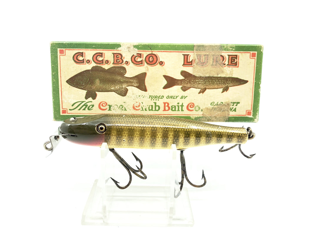 Creek Chub 700 Pikie, Pikie Color w/Box
