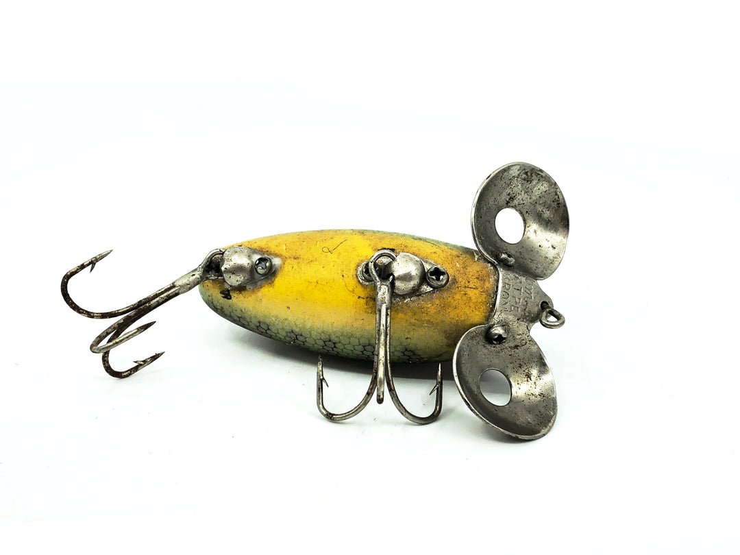 Hom-Art Skipper, Perch Color