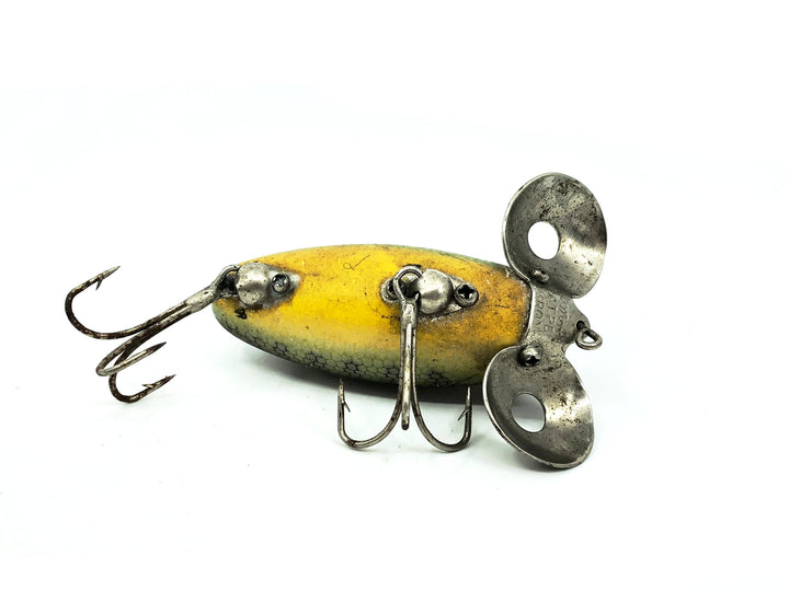 Hom-Art Skipper, Perch Color