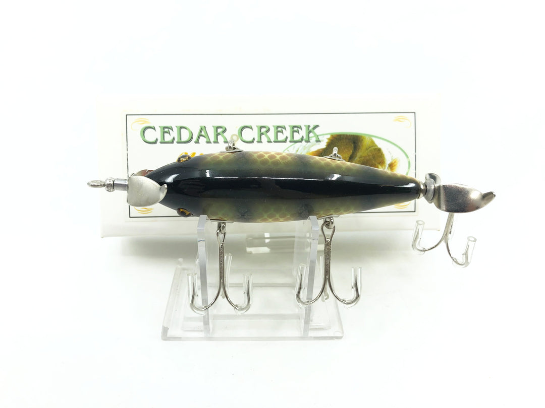 Cedar Creek Minnow - 5 Hook- 218 - Perch Scale Color