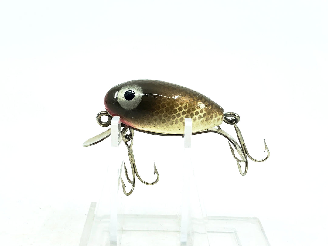 Paw Paw Jig-A-Lure #2700, #07 Pike Color