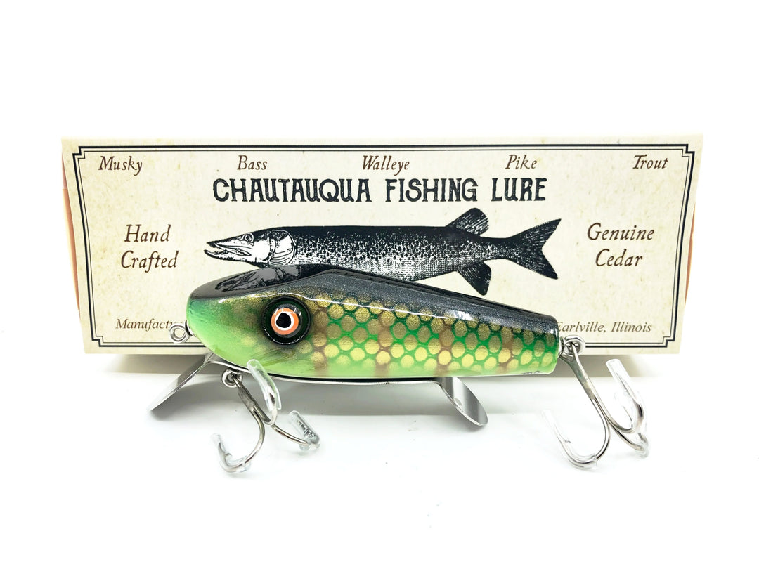 Chautauqua General Tom, Classic Yellow Perch Color
