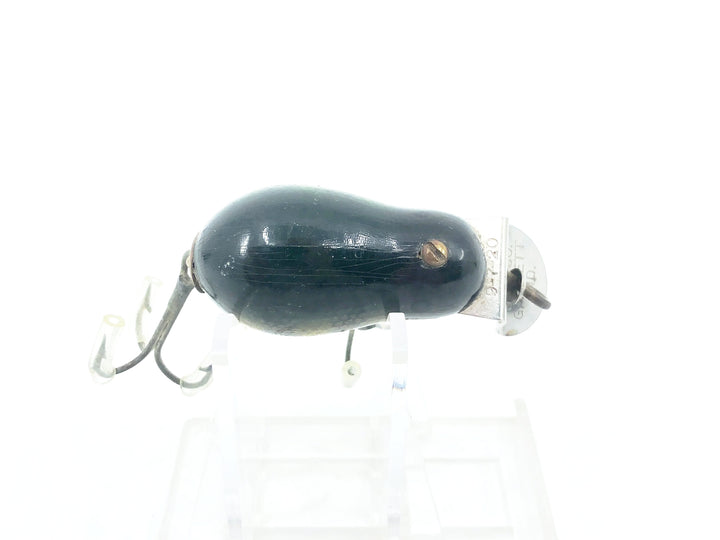 Creek Chub 6400 Tiny Tim #01 Perch Scale Color