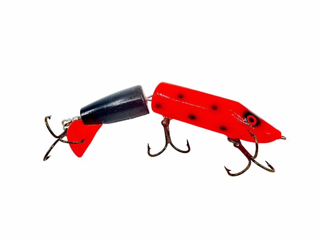 Hi-Fin Teasertail, Blaze Orange Head/Black Dots & Tail Color
