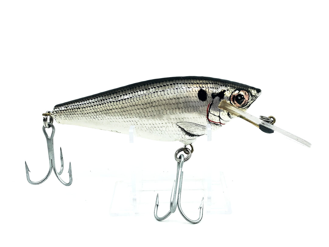 Bagley Small Fry Monster Shad - Vintage Bait - Shad Color