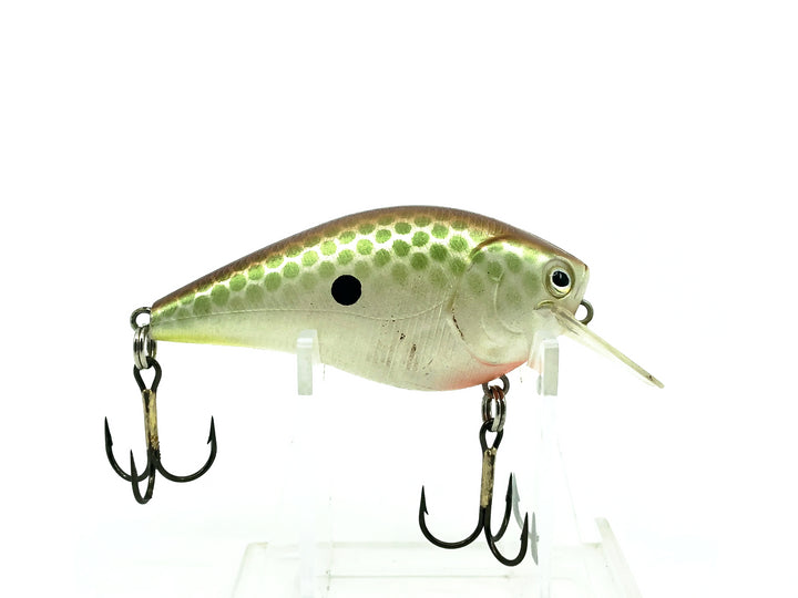 Gizzard Shad Crankbait