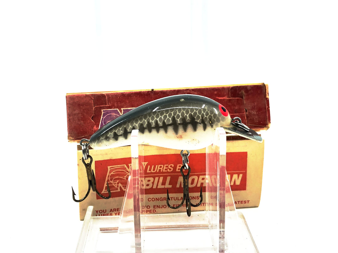 Norman Baby N 1950, #49 Baby Bass Color New in Box