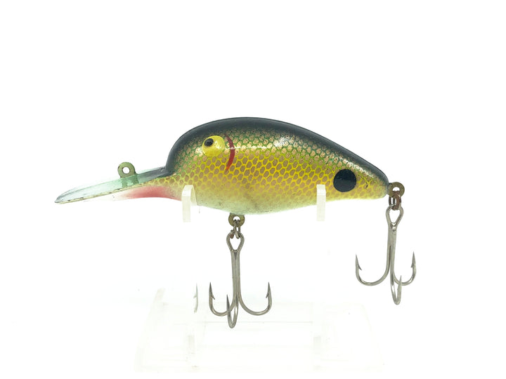 Roger's Deep Big Jim, Sunfish Color