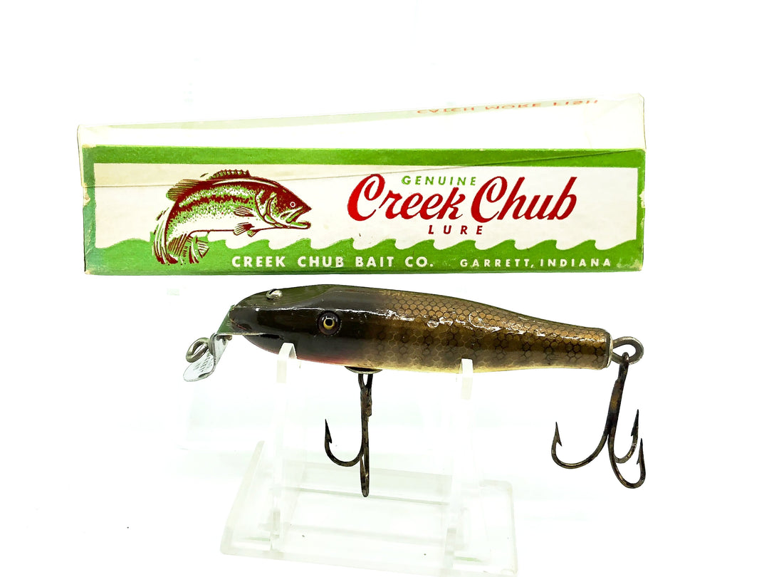 Creek Chub Baby Pikie 900 Pikie Color 900 with Box