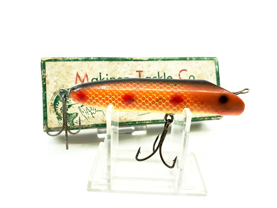 Makinen Makilure, Orange Scale Color with Box