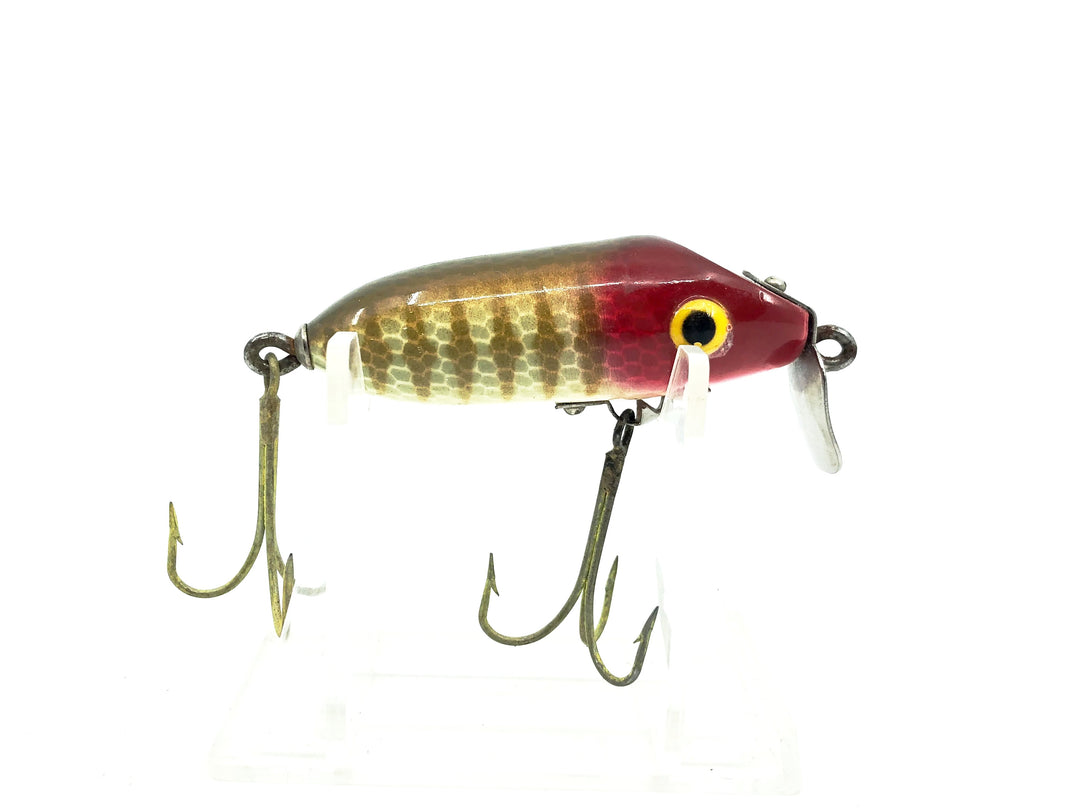 Rinehart Jinx, Pike Scale Color