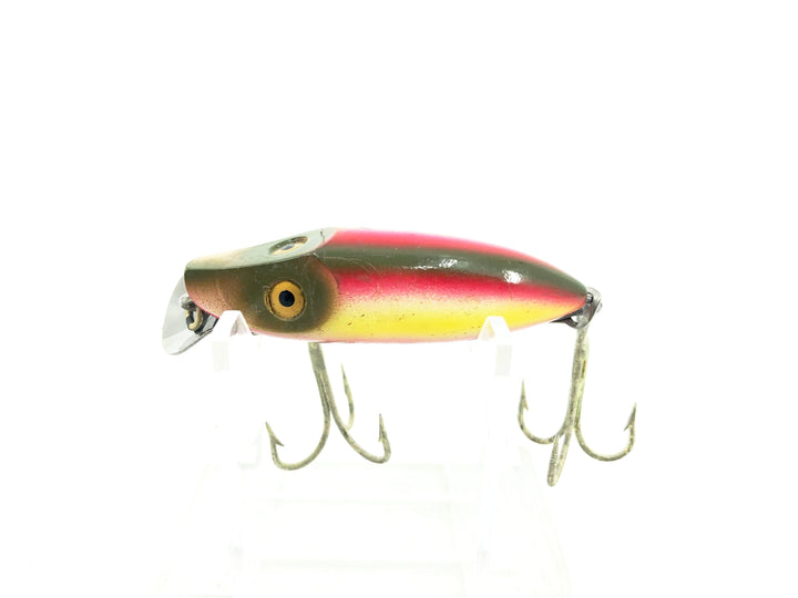 Heddon River Runt Spook Sinker 9110-RB Rainbow Color