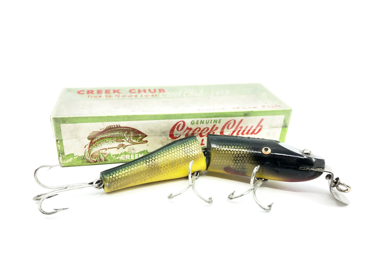 Creek Chub Jointed Pikie Perch Color 2601 with Box