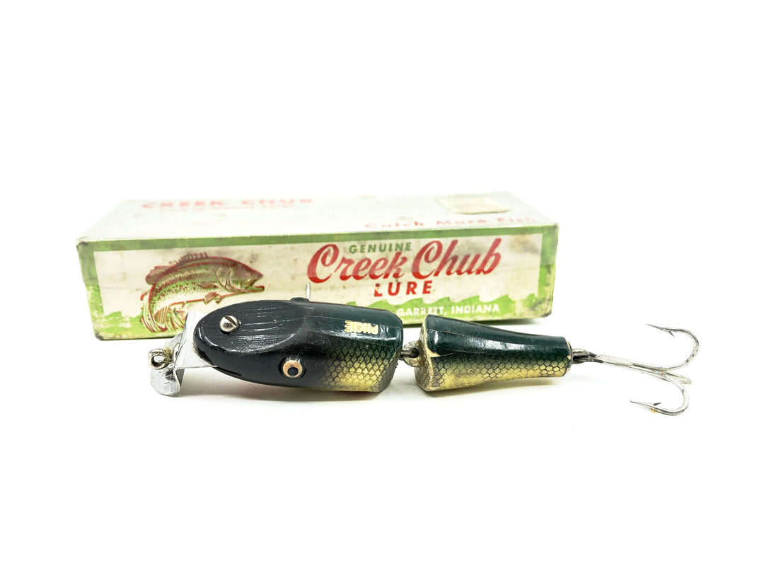 Creek Chub Baby Jointed Pikie Perch Color 2701 with 2601 Box