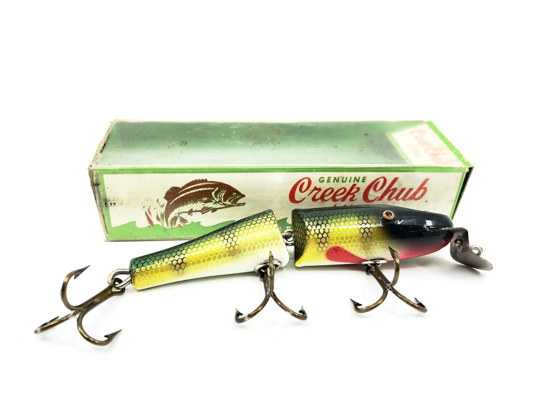 Creek Chub Jointed Pikie Perch Color 2601W with Box