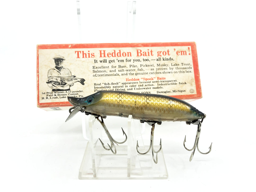 Heddon Vamp Spook 9750 M Pike Color with Brush Box-Tough