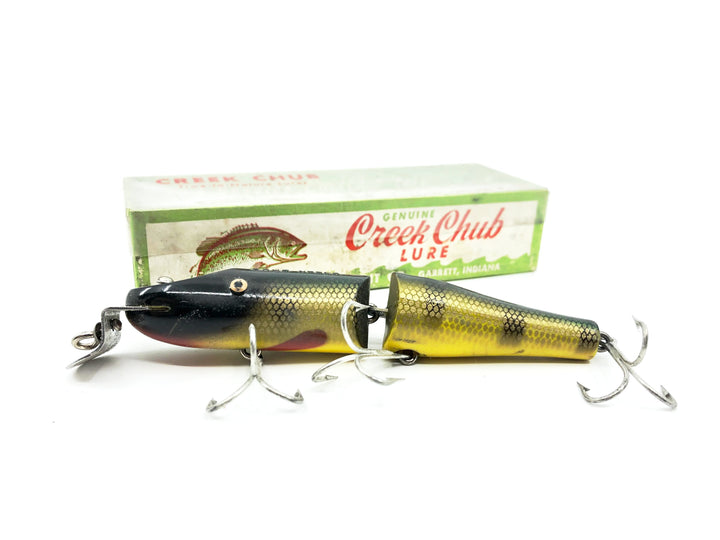 Creek Chub Jointed Pikie Perch Color 2601 with Box