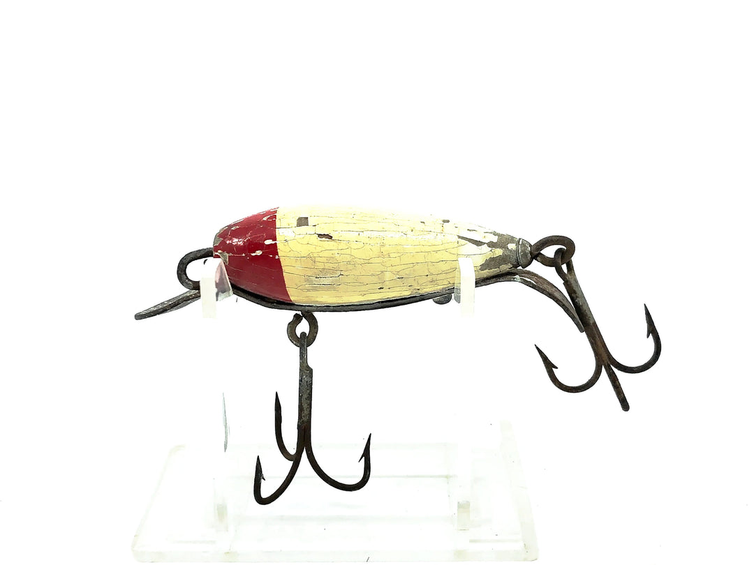 Keeling Tom Thumb, Red Head/White Color