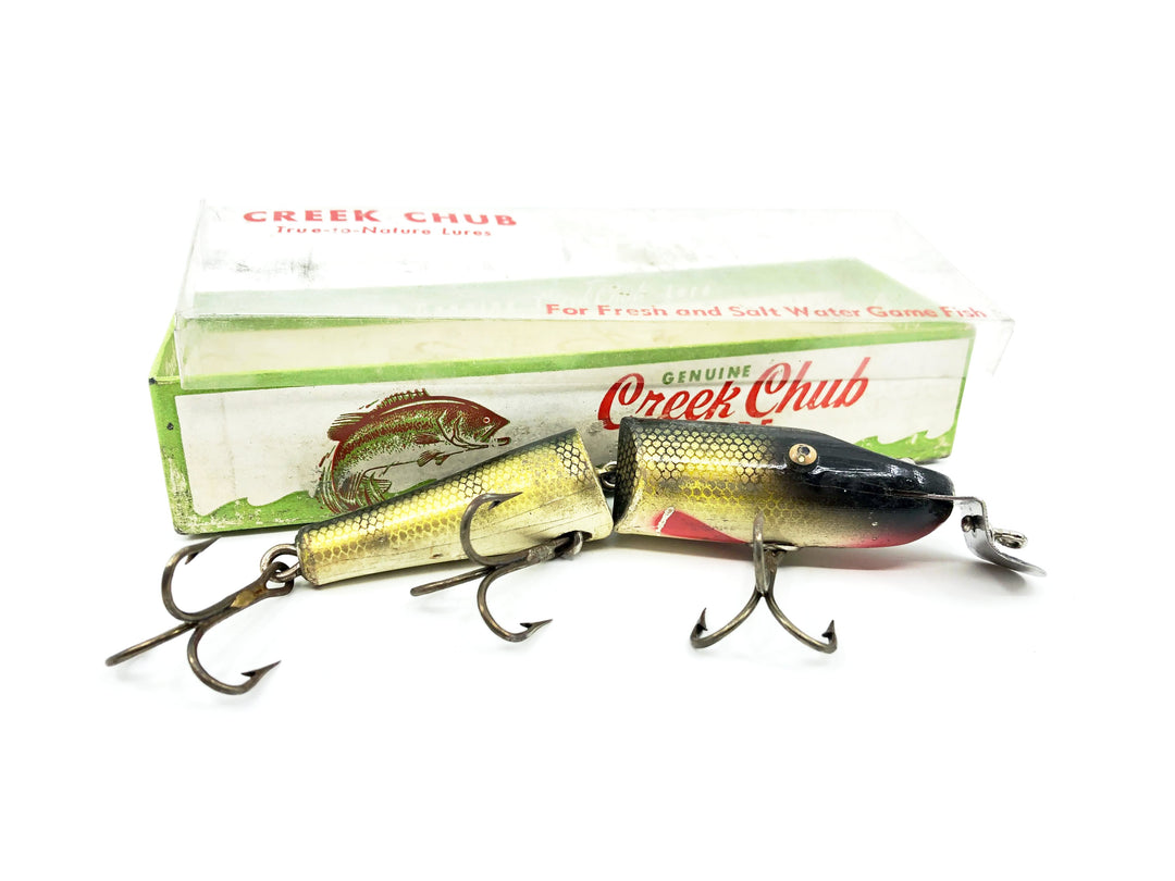 Creek Chub Jointed Pikie Perch Color 2601 with 2601DD Box
