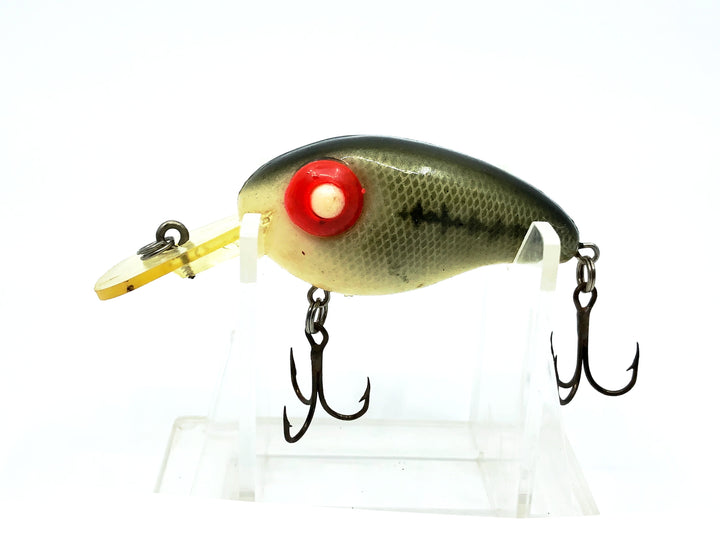 Rabble Rouser Deep Baby Ashley, Baby Bass Color