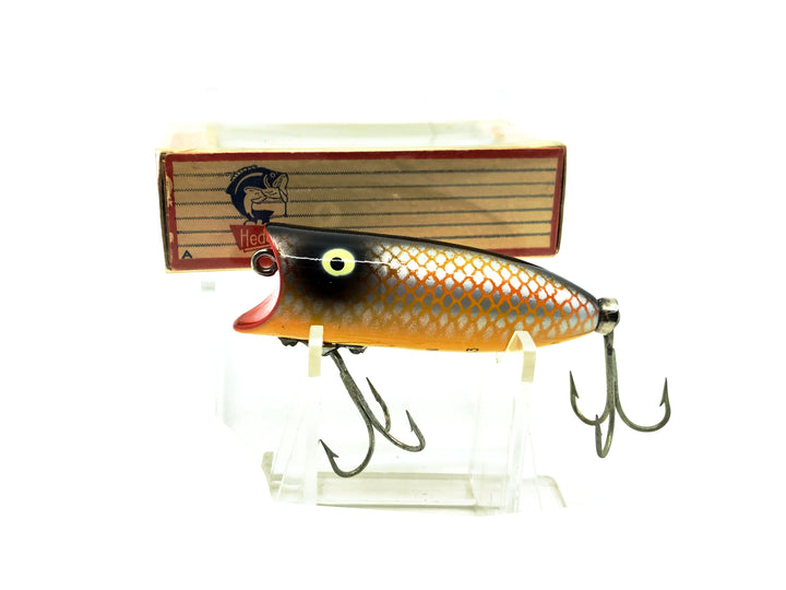 Heddon Baby Lucky 13 2400, PG Gold Shiner Color with Box