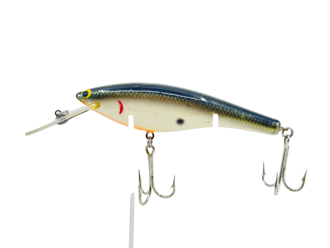 Bagley DBO6, TS Tennessee Shad Color - Winter Haven