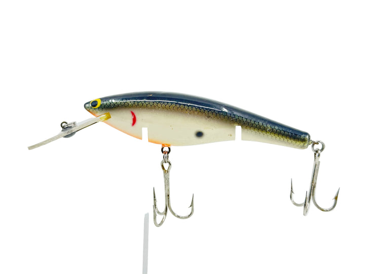 Bagley DBO6, TS Tennessee Shad Color - Winter Haven