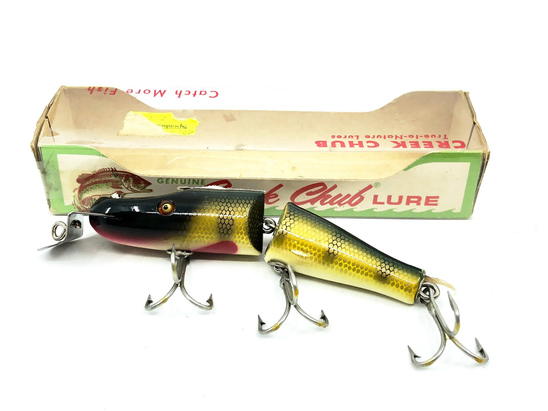 Creek Chub Jointed Pikie 2600, 2601 Perch Scale Color with Box