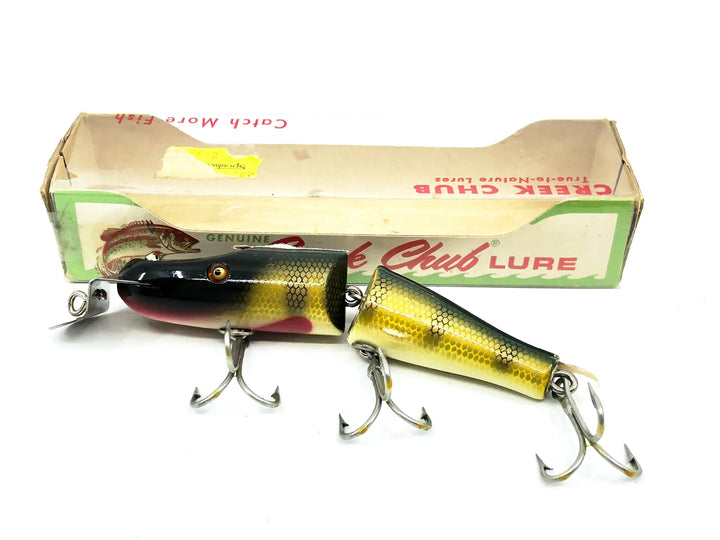 Creek Chub Jointed Pikie 2600, 2601 Perch Scale Color with Box