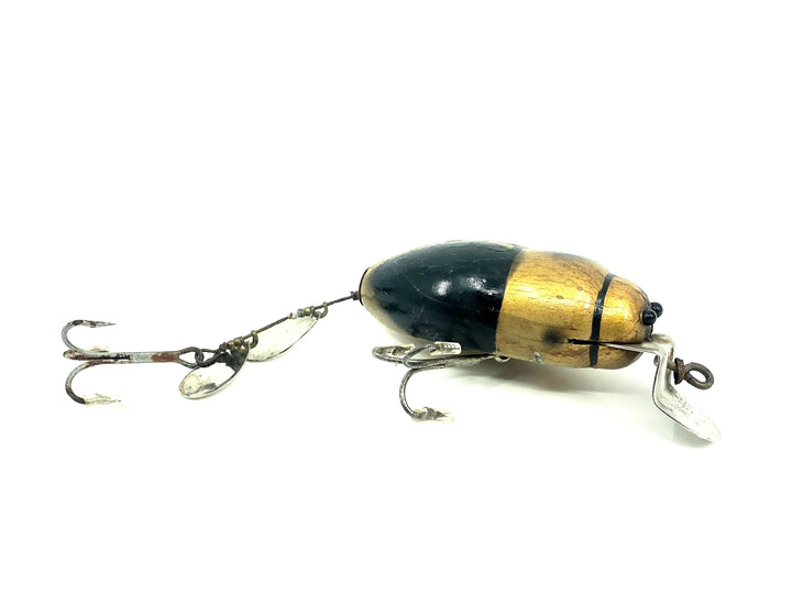 Creek Chub 3800 Beetle, Gold Beetle Color 3854