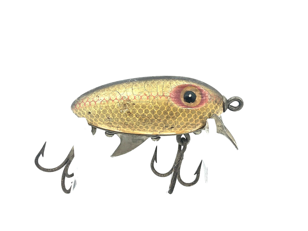 Clark's Water Scout, Shad Color