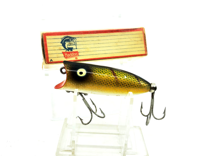 Heddon Baby Lucky 13 2400, L Perch Color with Box