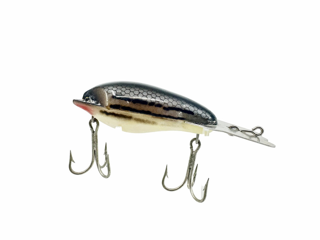 Arbogast Mud Bug Striper Series 26, #130 Bar Fish Color