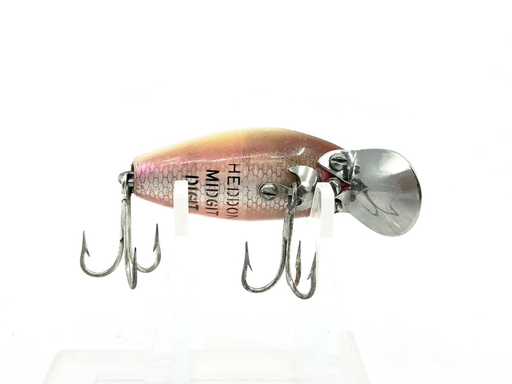 Heddon Midgit Digit River Runt Spook 9020, RB Rainbow Color