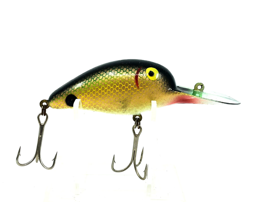 Roger's Deep Big Jim, Sunfish Color