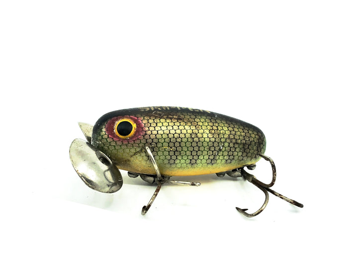 Hom-Art Skipper, Perch Color