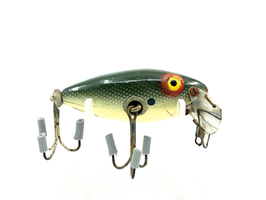 True Temper Crippled Shad, Shad Color
