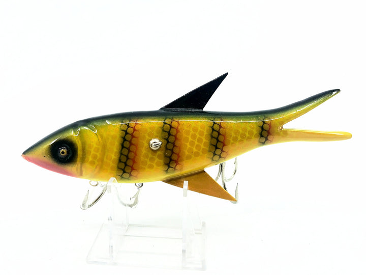 Musky Dan (XXX Lures) Florida Old Style Injured Minnow, Perch Color w/COA