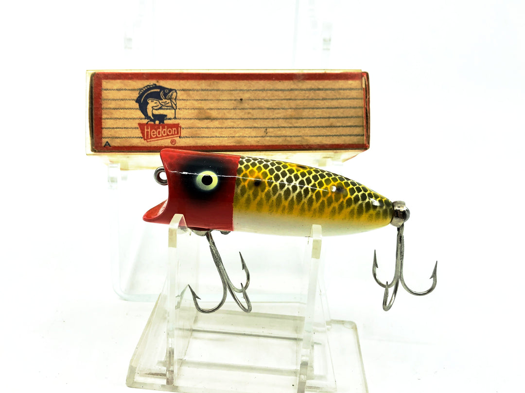 Heddon Baby Lucky 13 2400, JRH Frog Scale/Red Head Color with Box