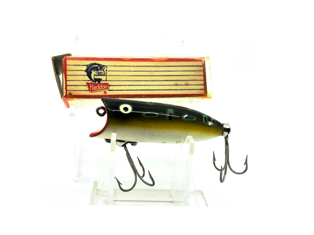 Heddon Baby Lucky 13 2400, BF Bullfrog Color with Box