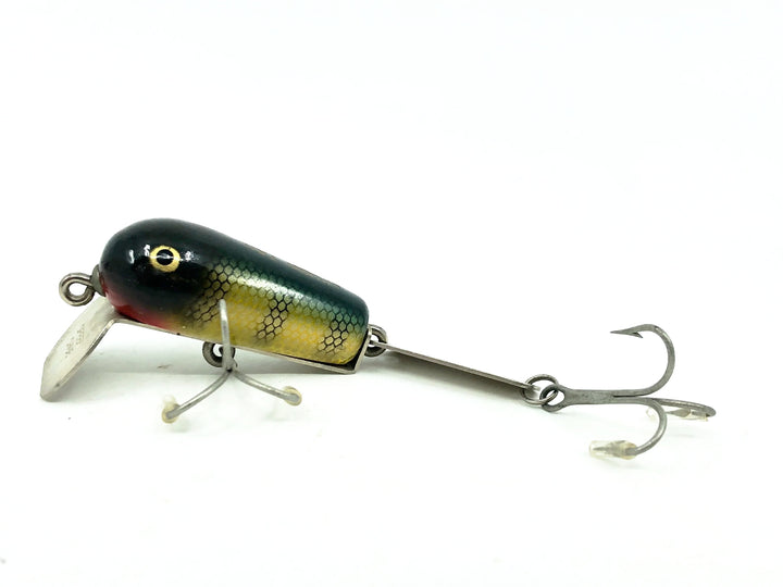 Creek Chub 500 Spoon Tail, #501 Perch Scale Color