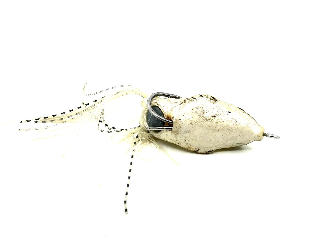 Hollow Body Soft Frog, Northern Leopard Color