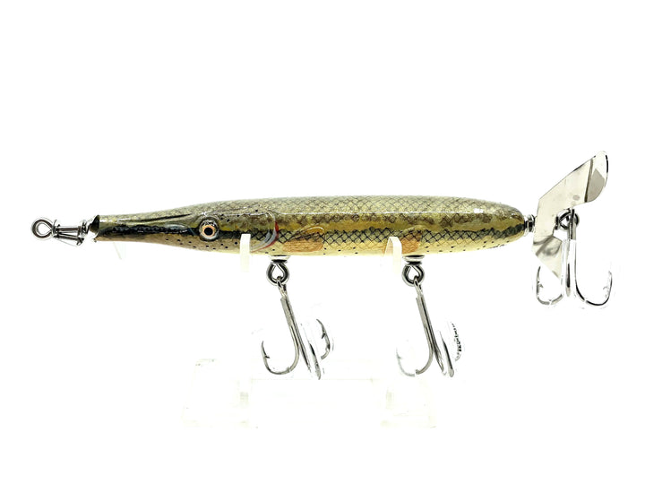 Chautauqua Gar Fingerling, Longnose Gar Color