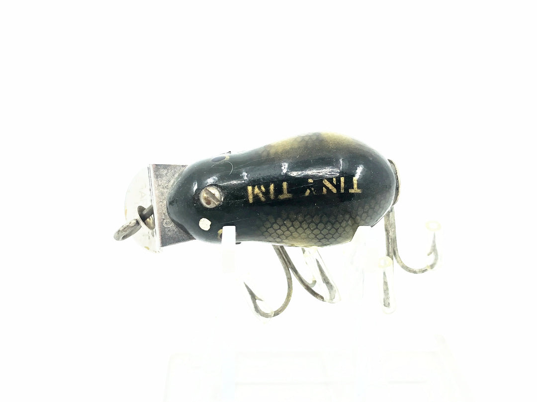 Creek Chub 6400 Tiny Tim, #01 Perch Scale Color