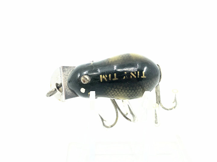 Creek Chub 6400 Tiny Tim, #01 Perch Scale Color